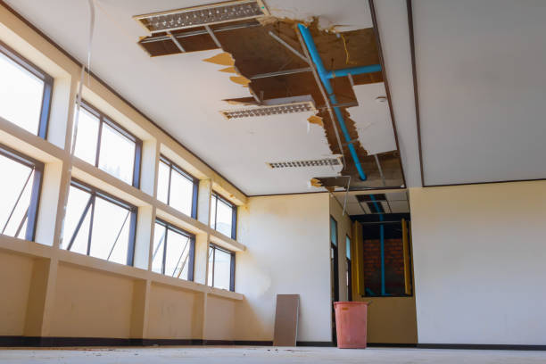Best Flood damage cleanup  in Willow Oak, FL