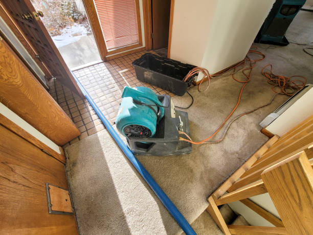 Best Fire Damage Restoration  in Willow Oak, FL