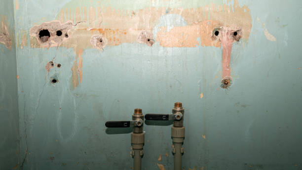 Best Commercial water damage restoration  in Willow Oak, FL