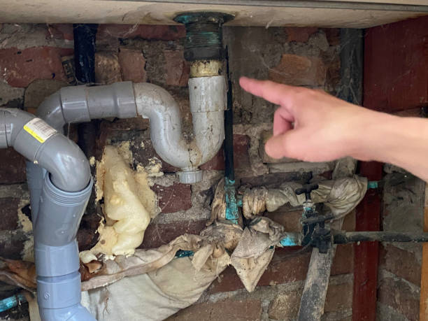 Best Water damage restoration specialists  in Willow Oak, FL