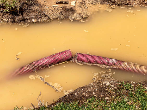 Best 24-hour water damage restoration  in Willow Oak, FL